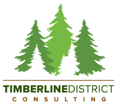 Company logo that is layered with pine trees.